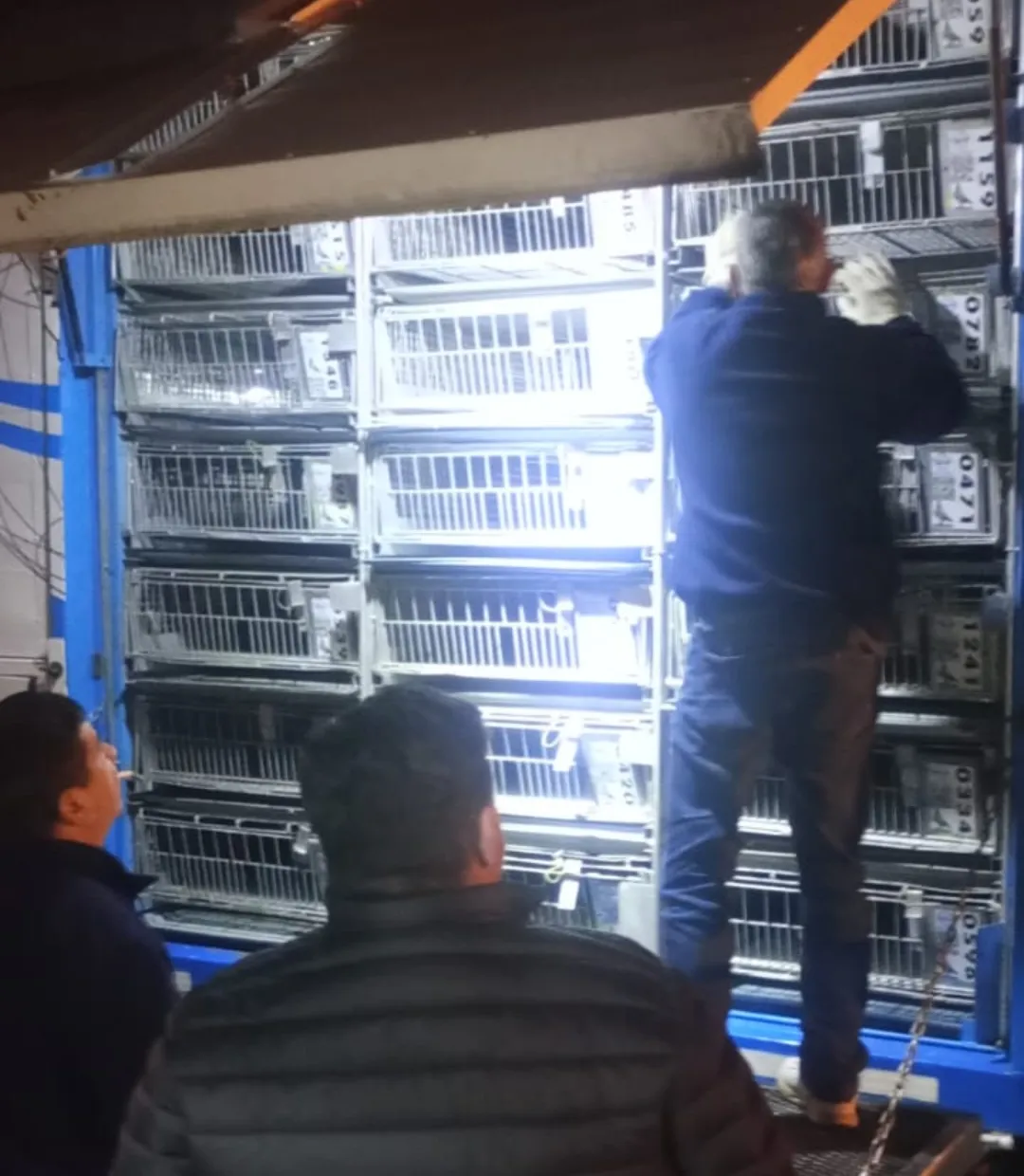 Screenshot_20240912-105118_WhatsApp