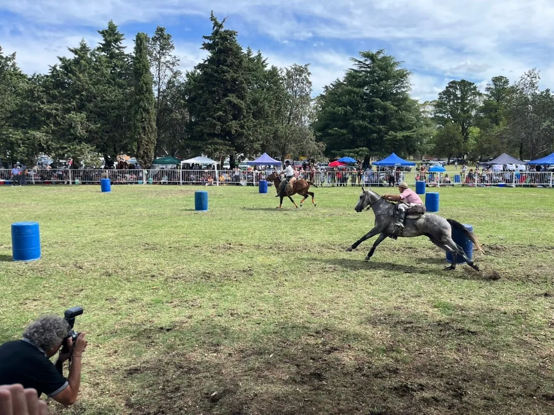 Screenshot_20260216_065245_WhatsApp