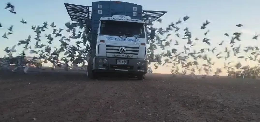 Screenshot_20240825-033415_WhatsApp