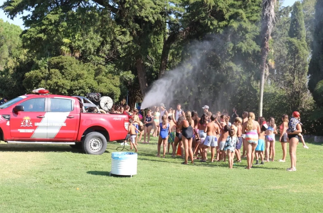 Screenshot_20260129_074758_WhatsApp