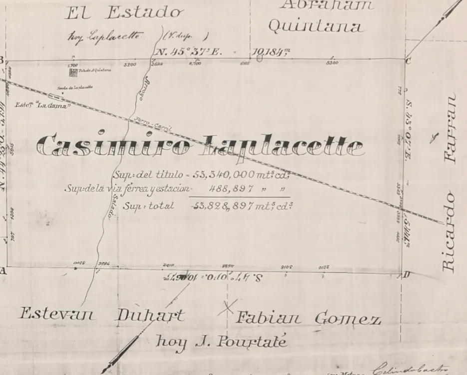 InShot_20250304_070730489