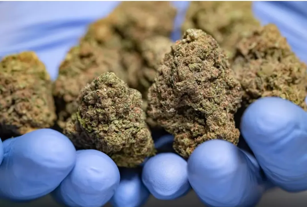 Screenshot_20231204-060643_Samsung Internet