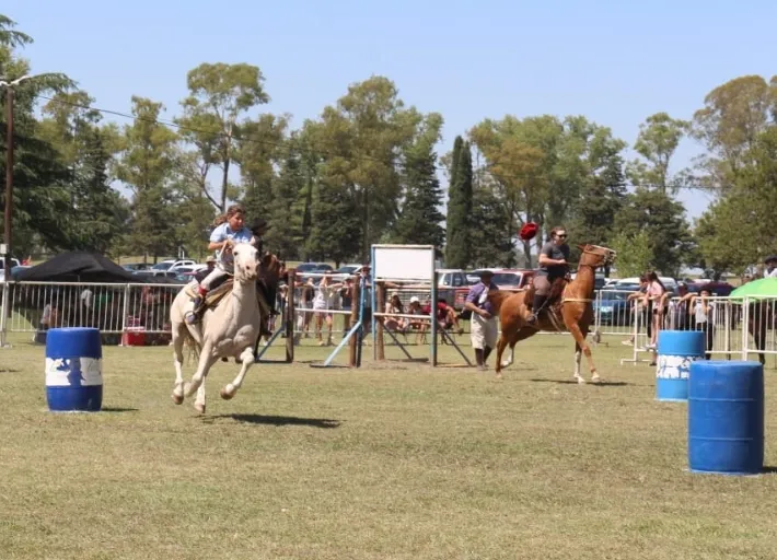 Screenshot_20250216-171446_WhatsApp