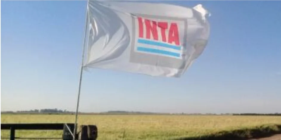 Screenshot_20260409_071834_Docs