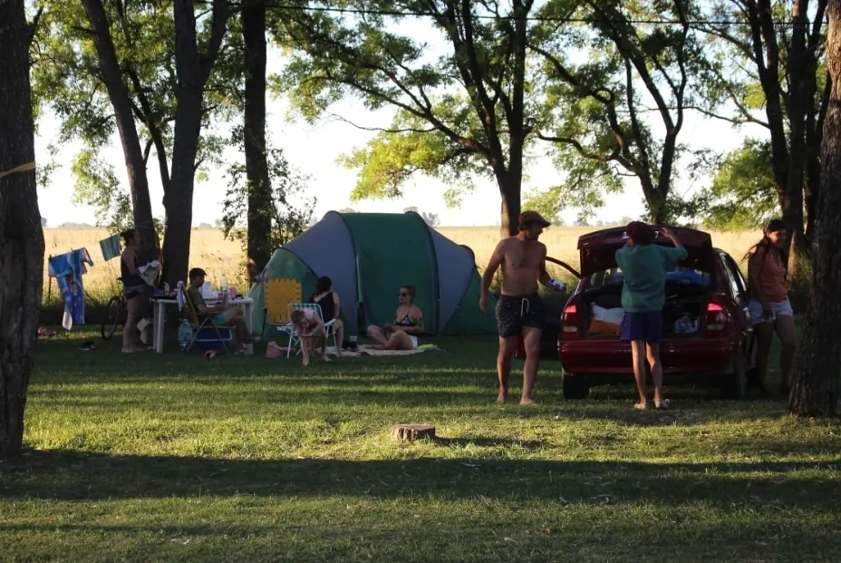 Screenshot_20240122-060110_WhatsApp