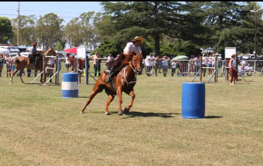 Screenshot_20250216-171423_WhatsApp