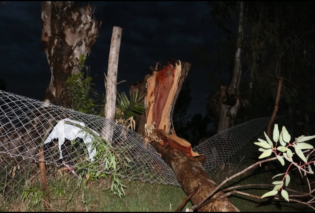 Screenshot_20251015-195718_WhatsApp