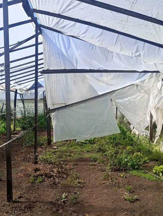 Screenshot_20251128_065126_WhatsApp