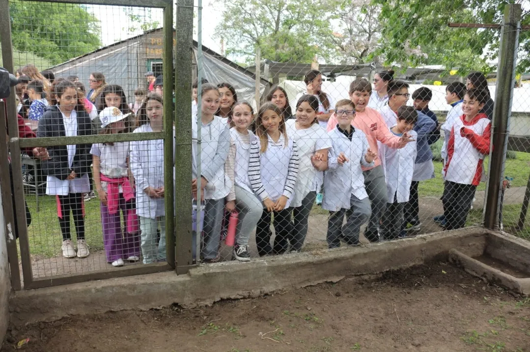 Screenshot_20251031_064726_WhatsApp