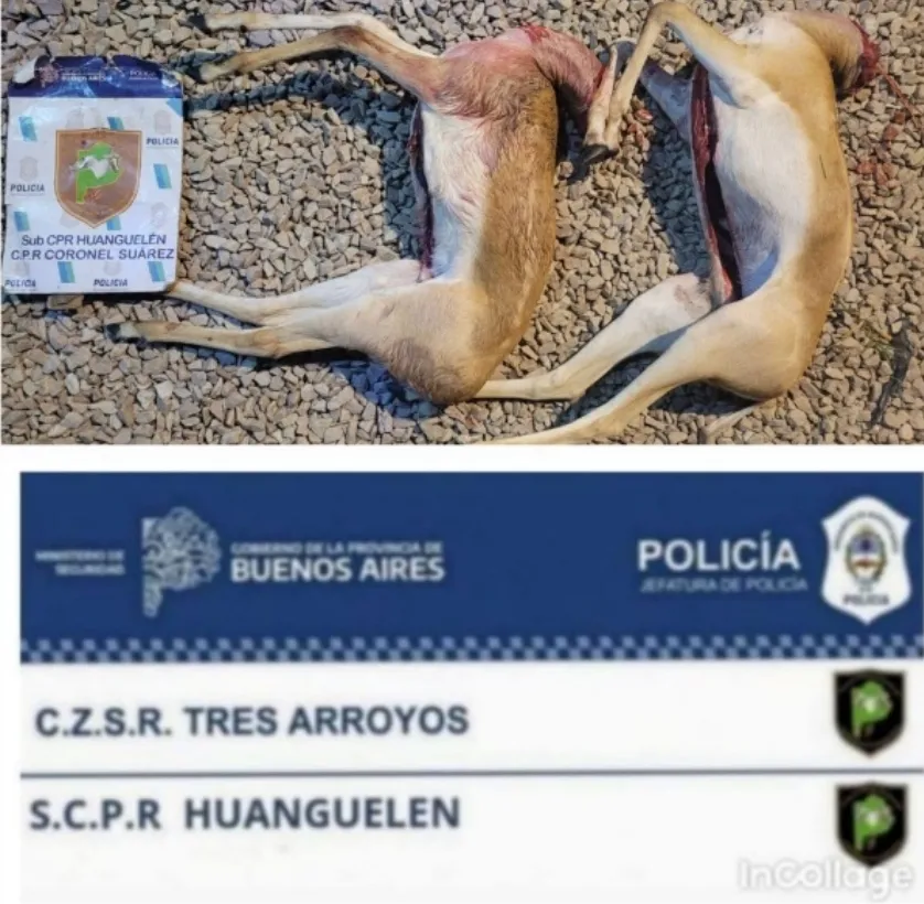 Screenshot_20260128_065130_Docs