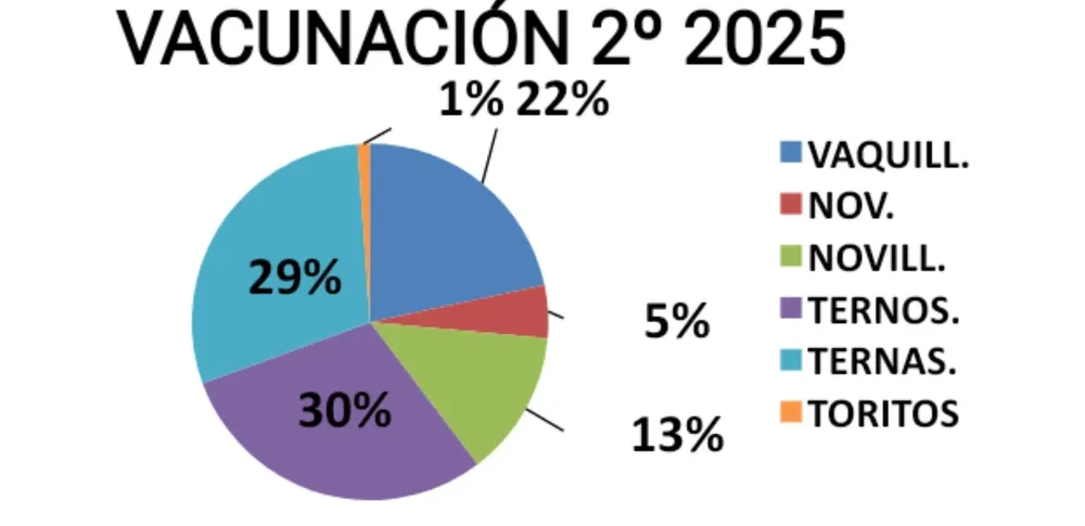 Screenshot_20260116_071148_Docs