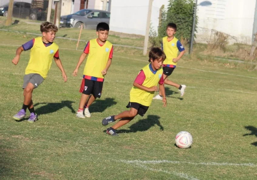 Screenshot_20260201_065555_WhatsApp