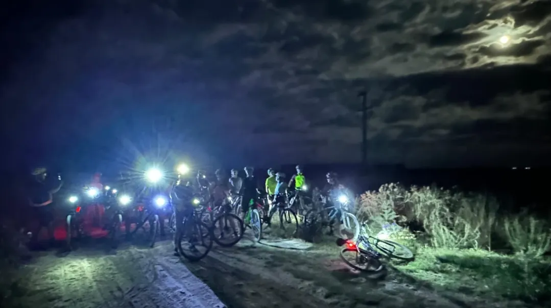 Screenshot_20260131_024344_WhatsApp