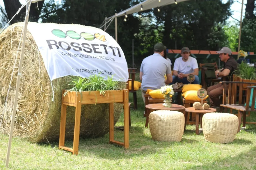 Screenshot_20251116_072448_WhatsApp