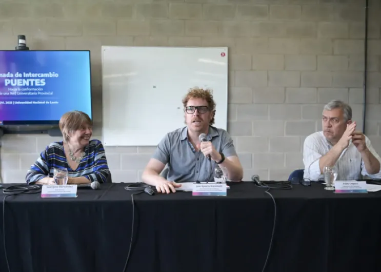 imagen programa Puentes