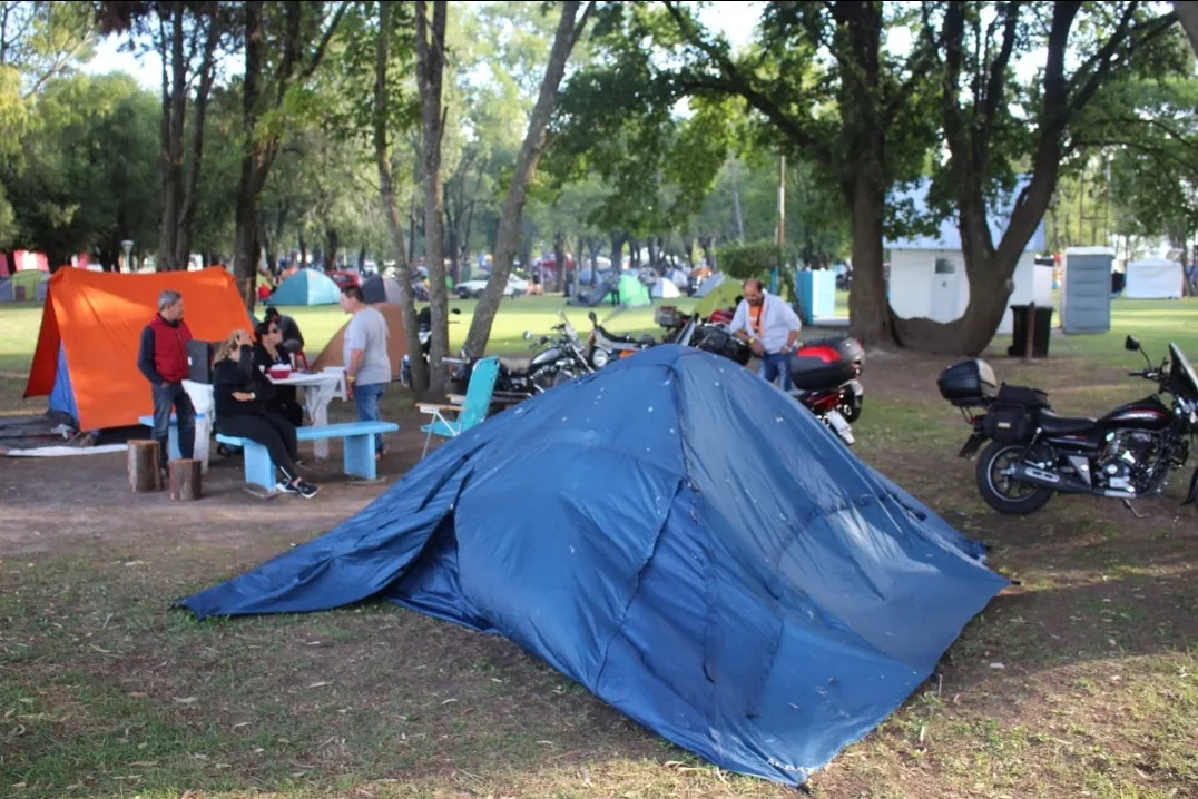 Screenshot_20240309-064209_WhatsApp