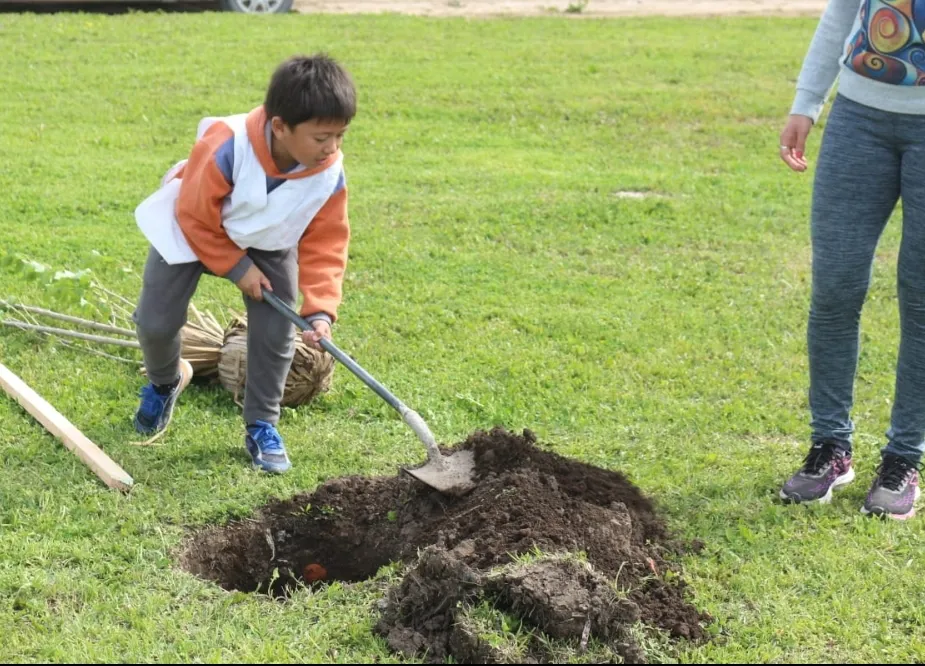 Screenshot_20251010-071942_WhatsApp