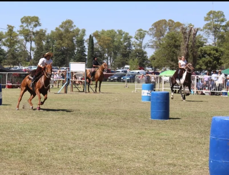 Screenshot_20250216-171459_WhatsApp