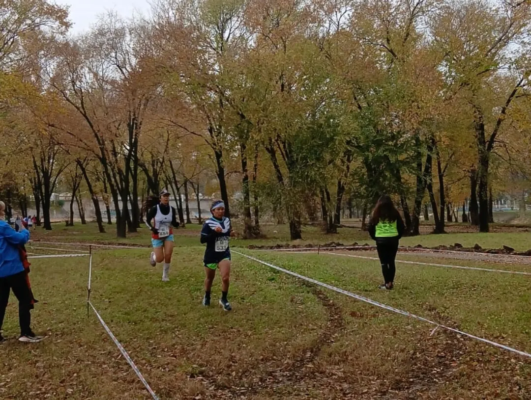 Screenshot_20250616-071855_WhatsApp