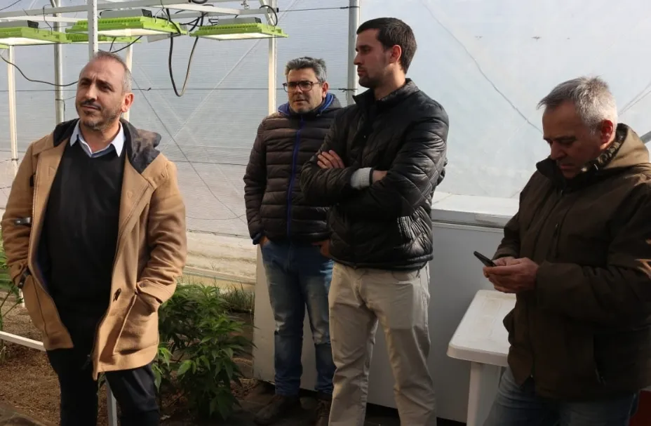 Screenshot_20240629-072521_WhatsApp