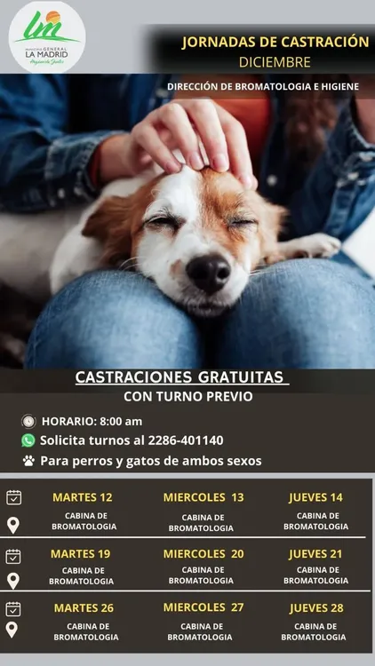 flyer castraciones