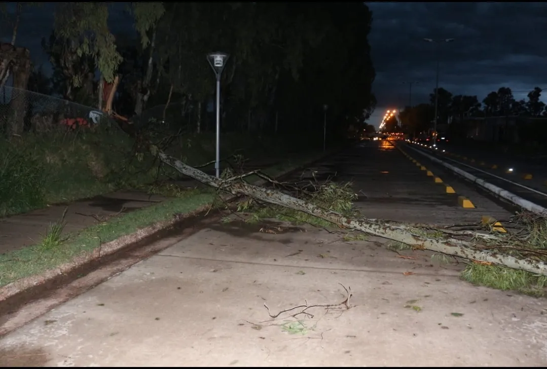 Screenshot_20251015-195619_WhatsApp