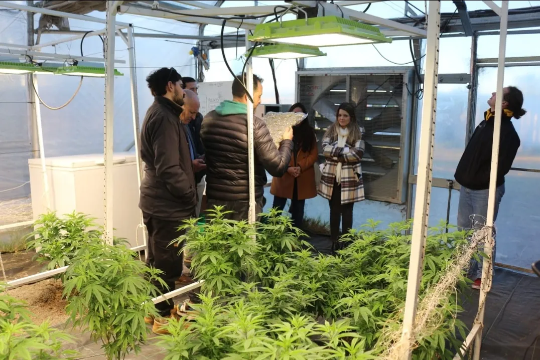 Screenshot_20240629-071738_WhatsApp