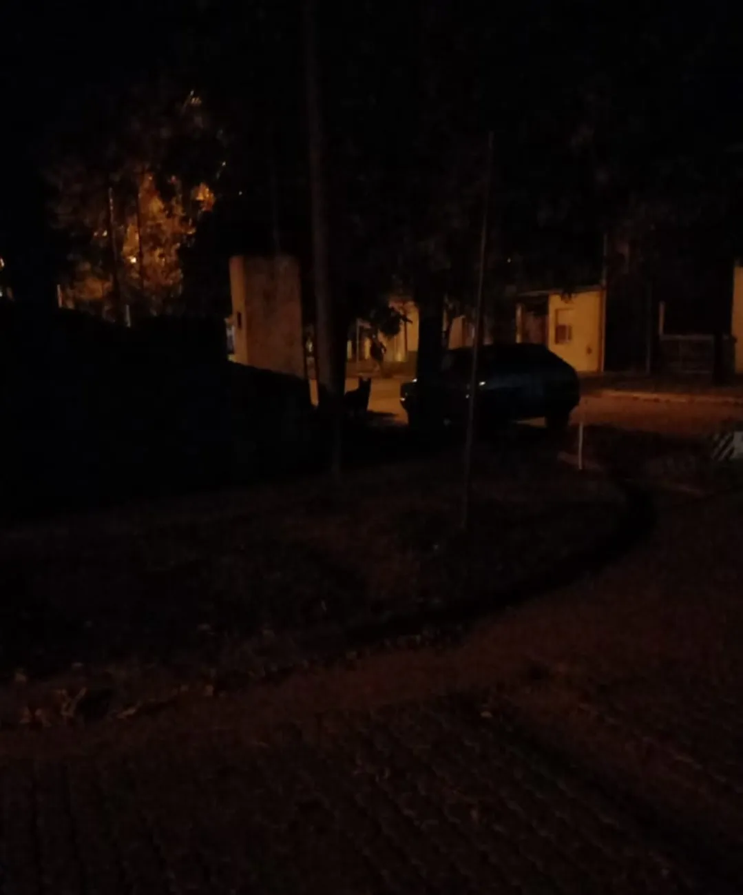 Screenshot_20240427-050750_WhatsApp