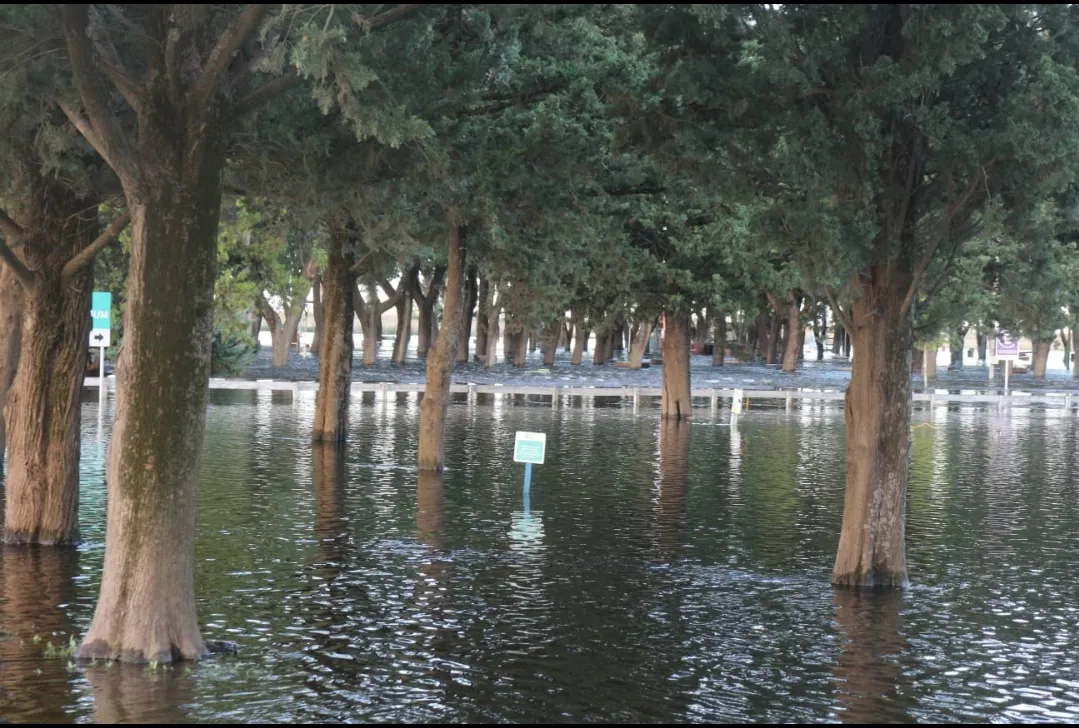 Screenshot_20250309-070317_WhatsApp