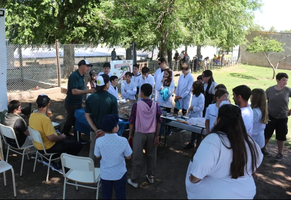 Screenshot_20241115-063051_WhatsApp