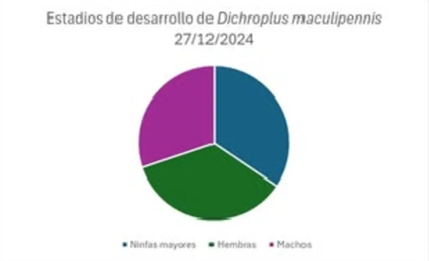 Screenshot_20250123-065106_M365 Copilot