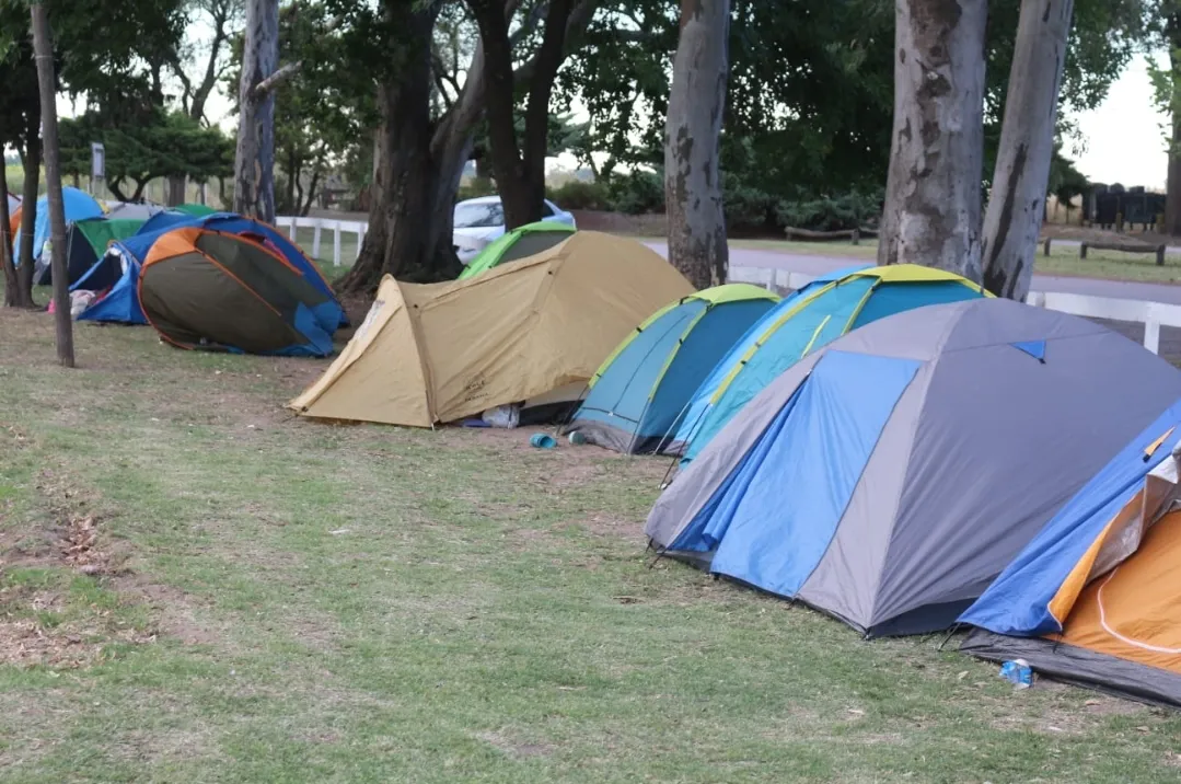 Screenshot_20260211_071628_WhatsApp