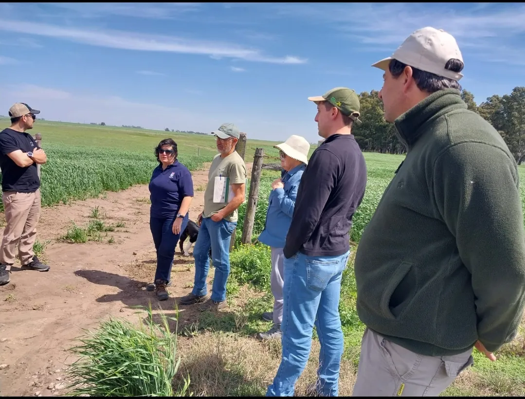 Screenshot_20251017-044711_WhatsApp