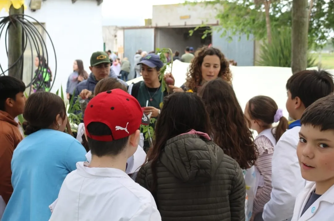 Screenshot_20251031_064824_WhatsApp