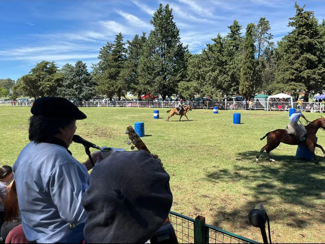 Screenshot_20260216_065537_WhatsApp