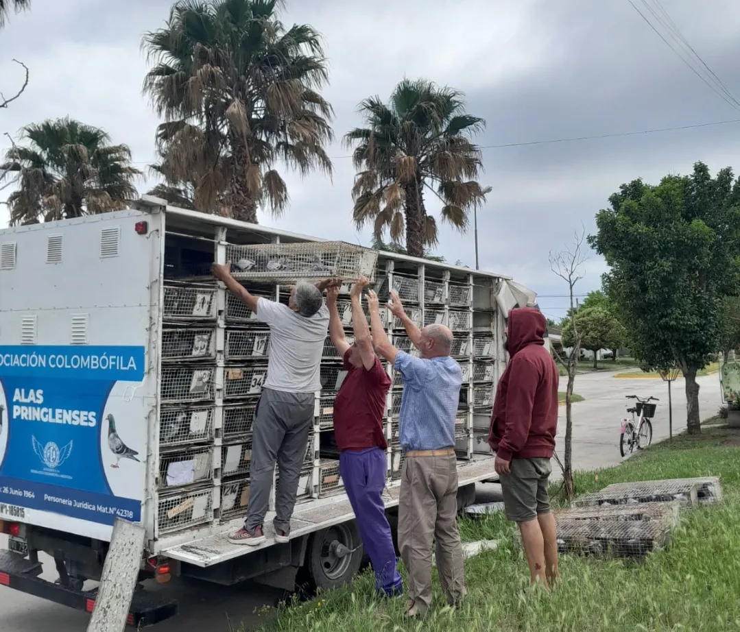 Screenshot_20241102-100454_WhatsApp