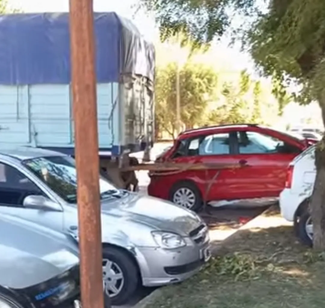 Screenshot_20260212_071143_Facebook