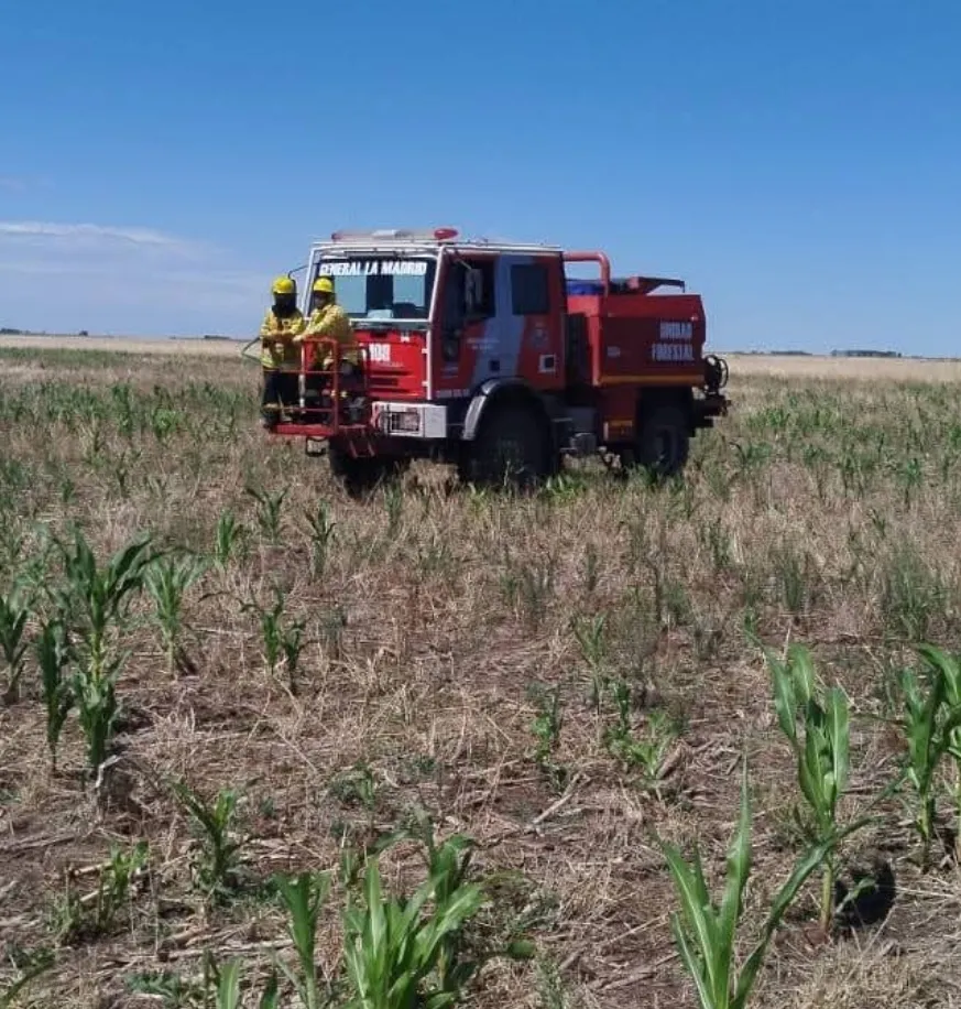 Screenshot_20260212_070612_Facebook