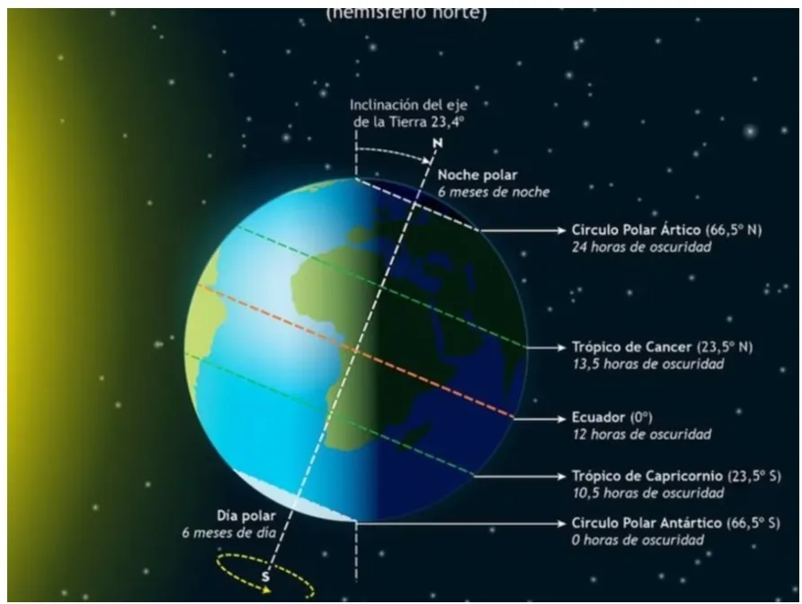 Screenshot_20250620-070154_M365 Copilot