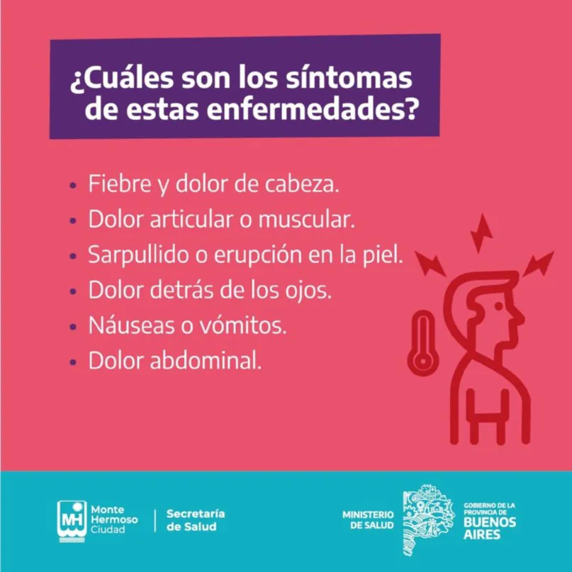 imagen dengue sintomas