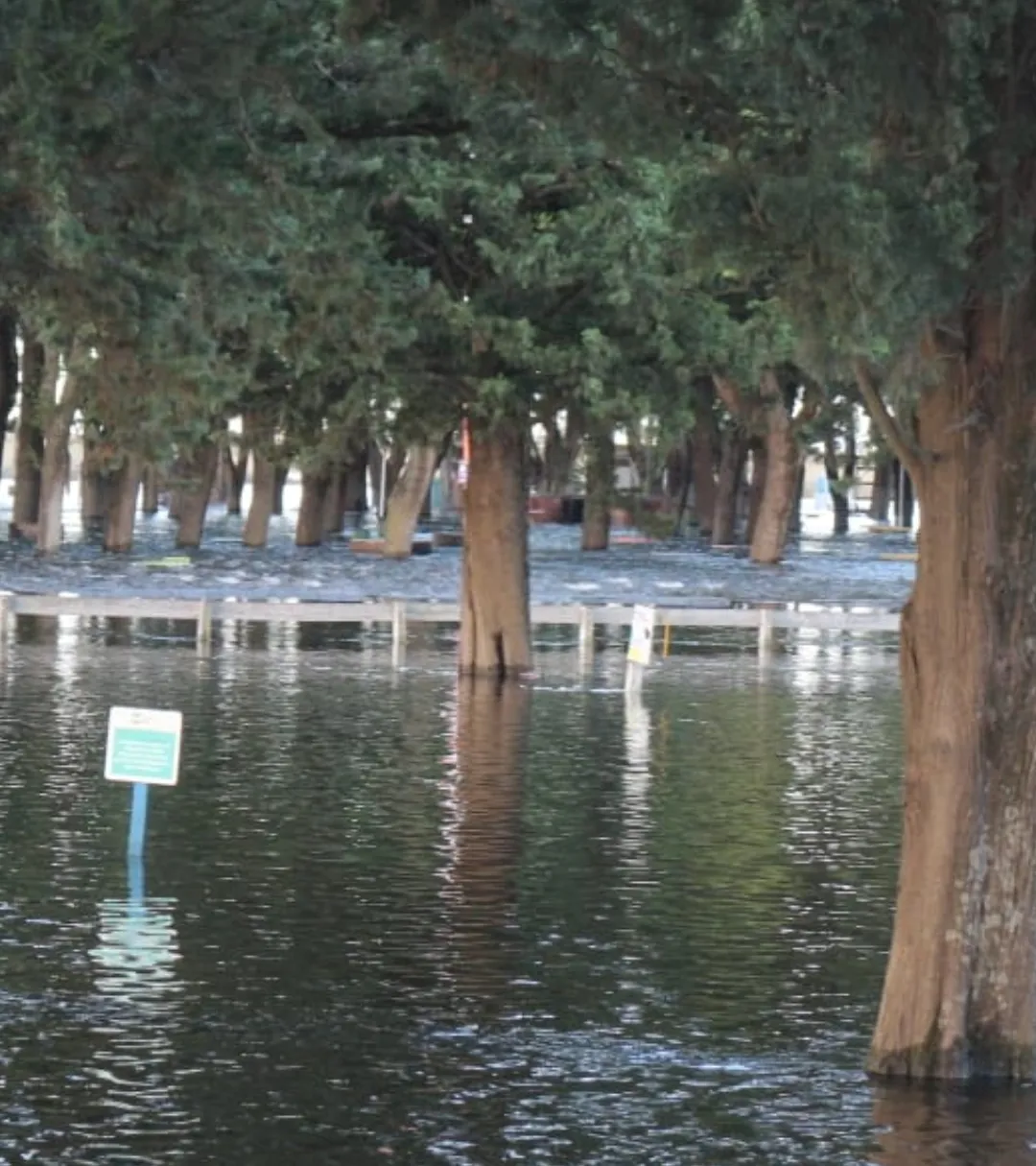 Screenshot_20250309-070306_WhatsApp