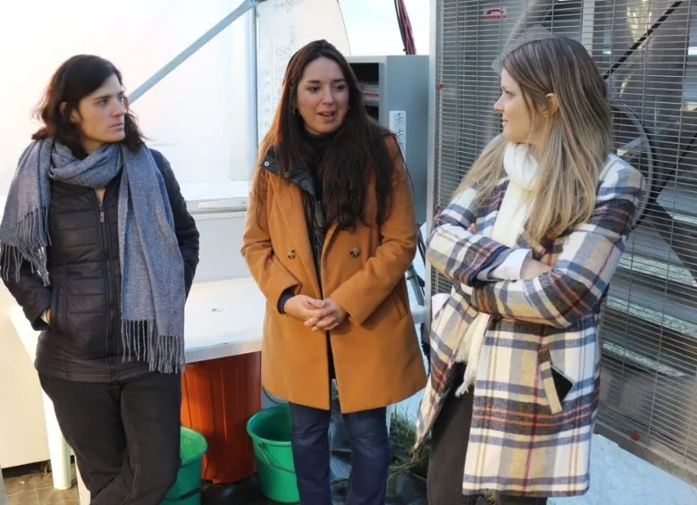 Screenshot_20240629-071729_WhatsApp