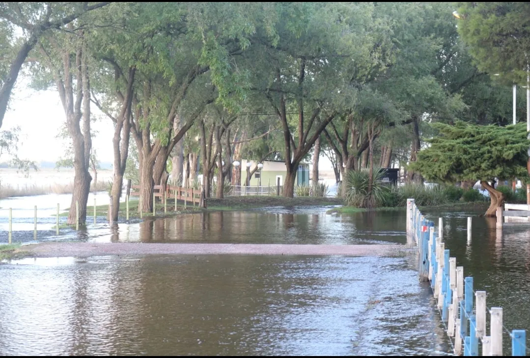 Screenshot_20250309-070212_WhatsApp