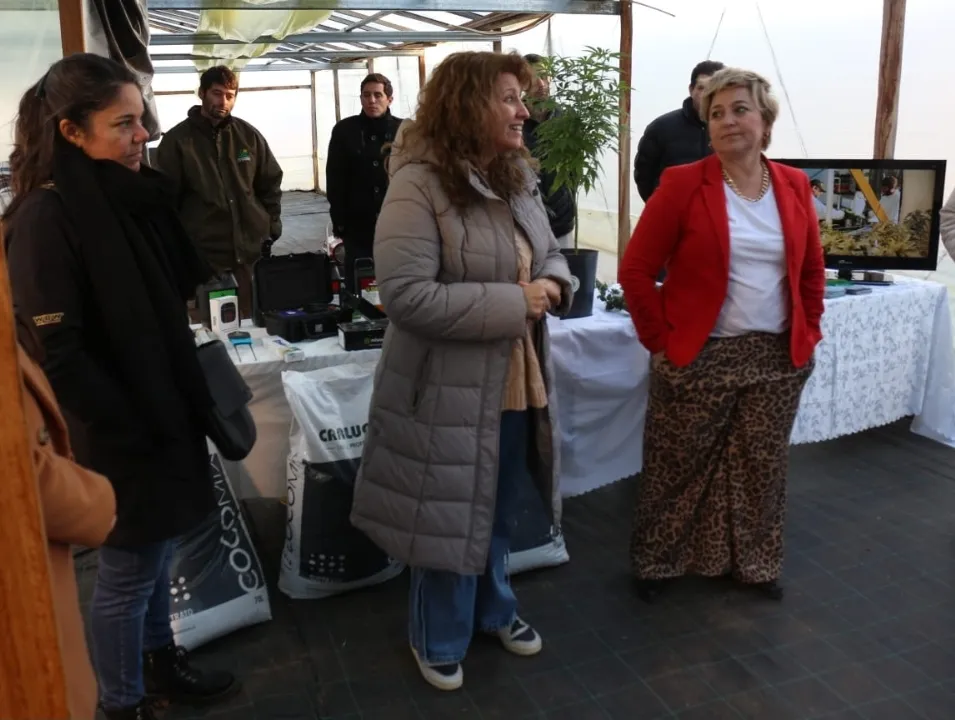 Screenshot_20240629-071759_WhatsApp