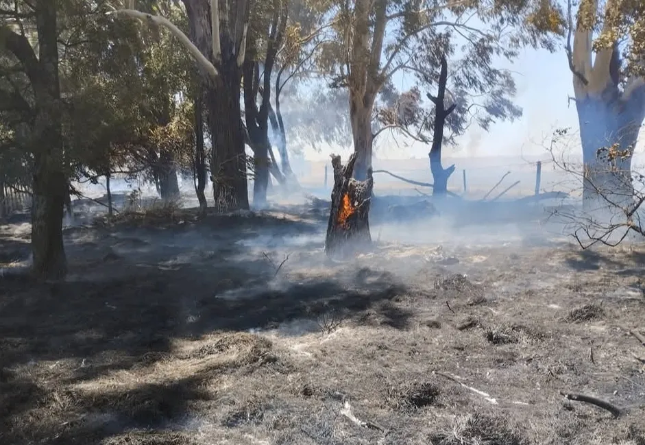 Screenshot_20260106_065140_Facebook