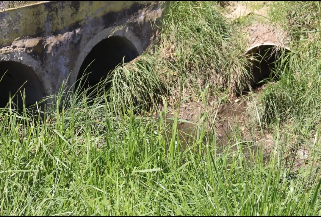 Screenshot_20251009-063010_WhatsApp