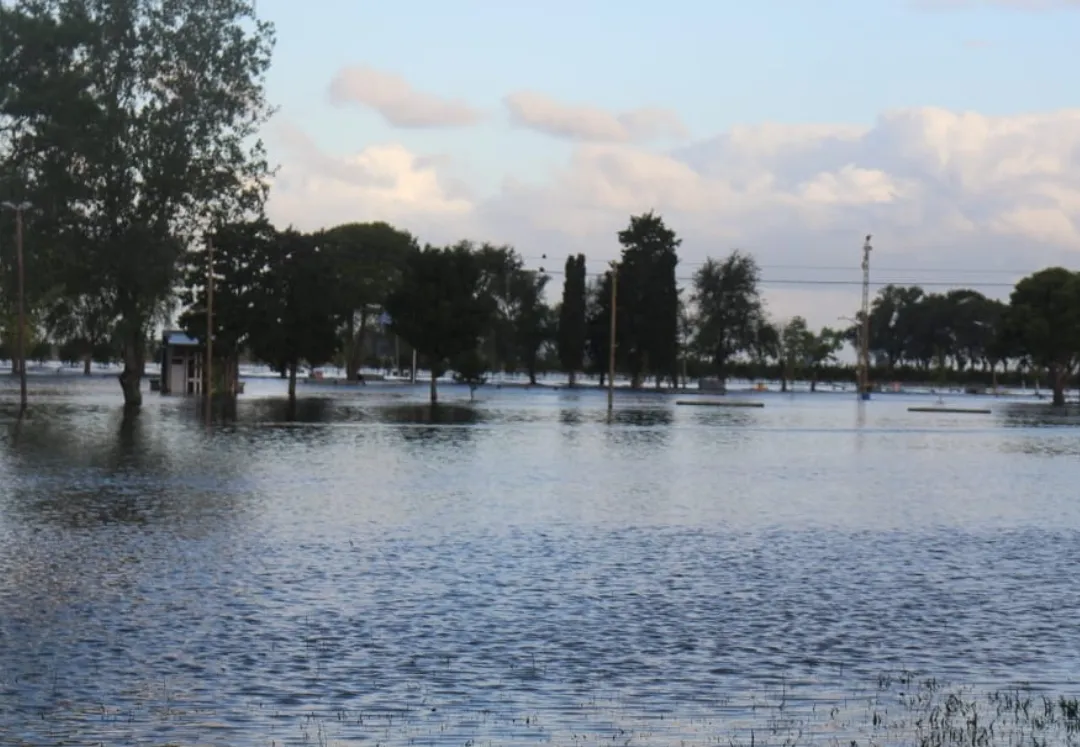 Screenshot_20250309-070404_WhatsApp