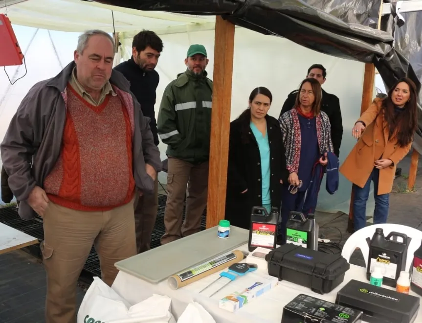 Screenshot_20240629-072601_WhatsApp