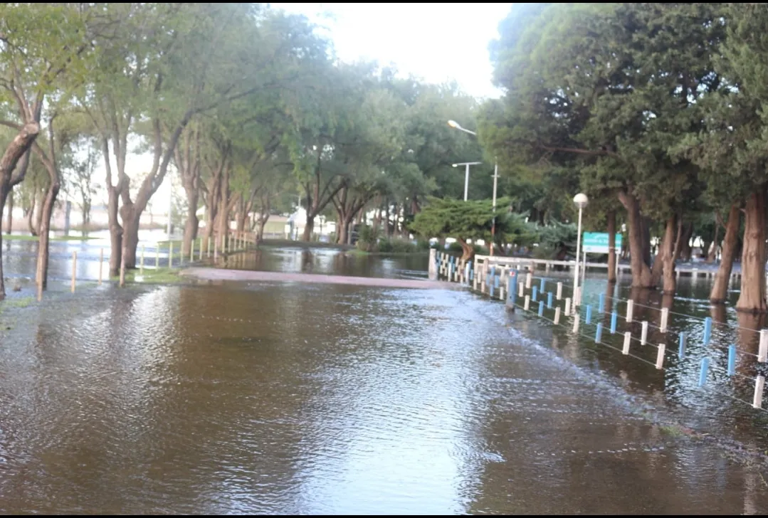 Screenshot_20250309-070245_WhatsApp