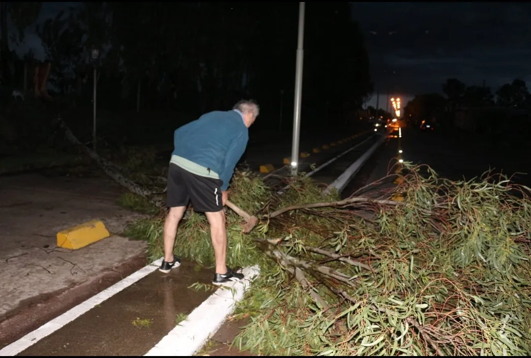 Screenshot_20251015-195659_WhatsApp